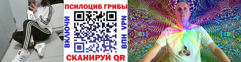 Псилоцибиновые грибы MAGIC MUSHROOMS  Спасск-Рязанский 